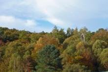 Our Lady of The Angels in the autumn woods